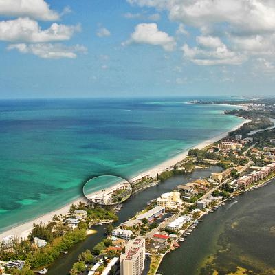 Arial View