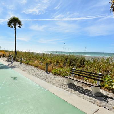 Shuffleboard